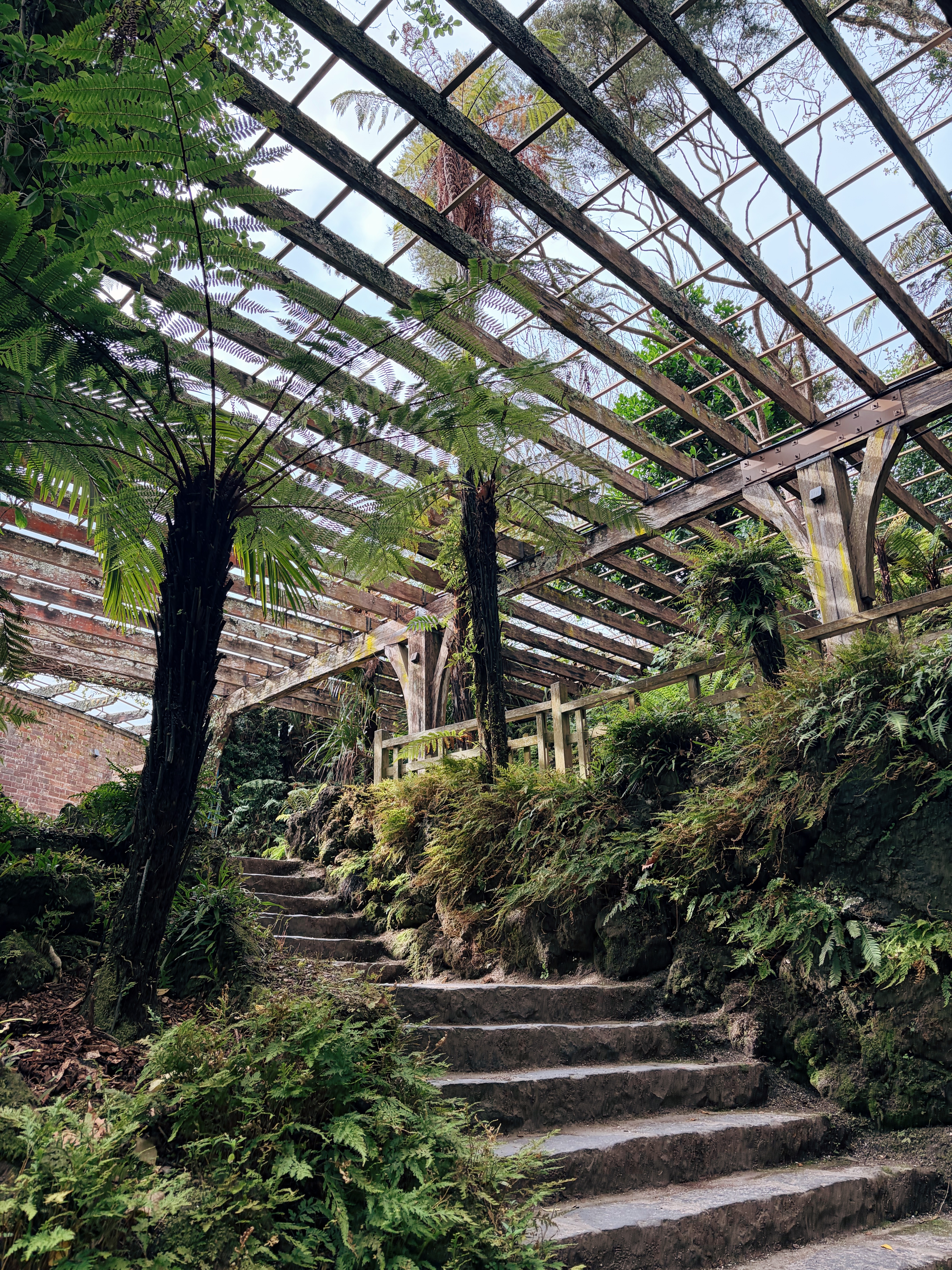 Fernz Fernery at Auckland Domain.