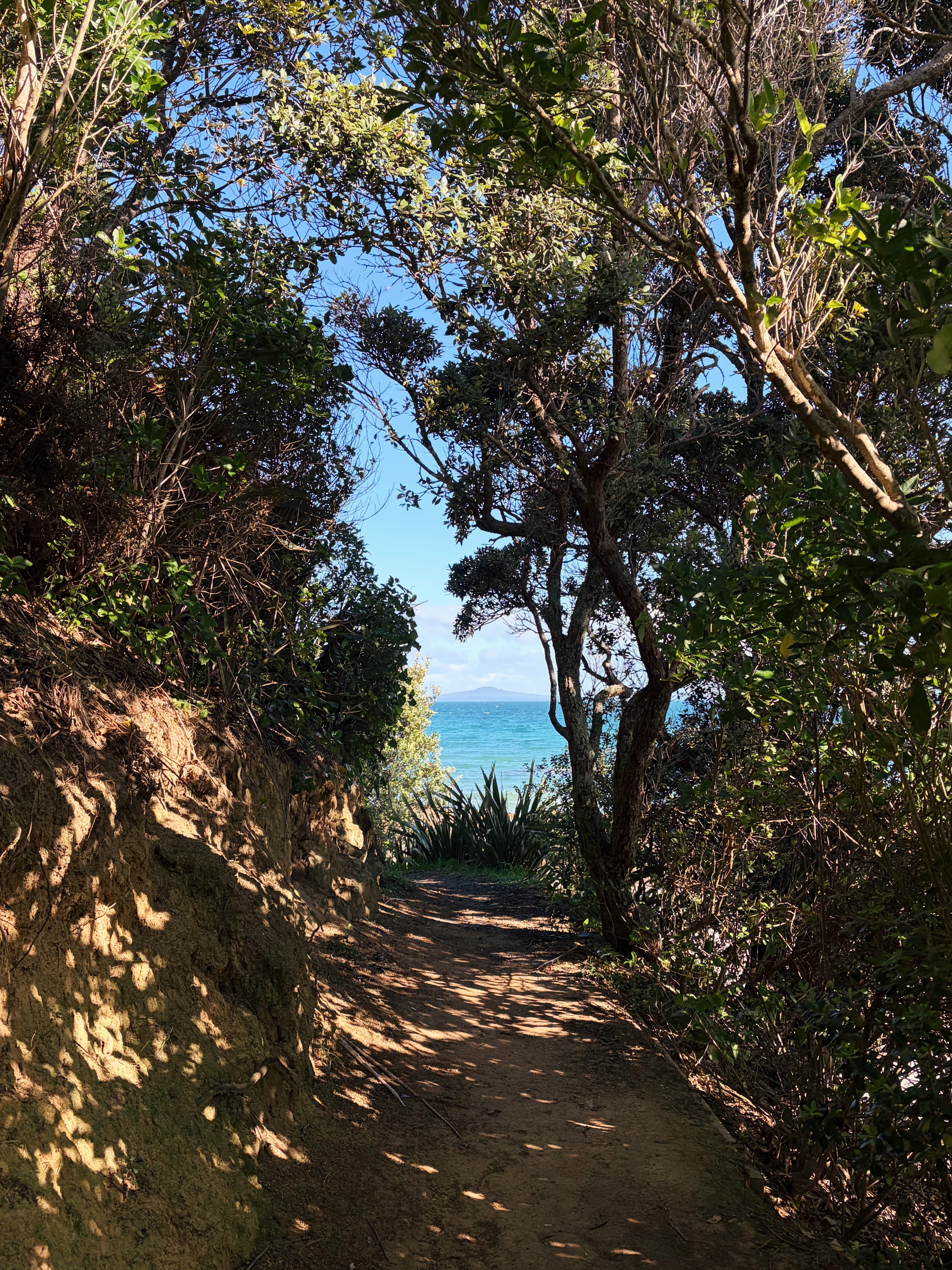 Hobbs Beach Track on Tiritiri Matangi looking out at Rangitoto Island.