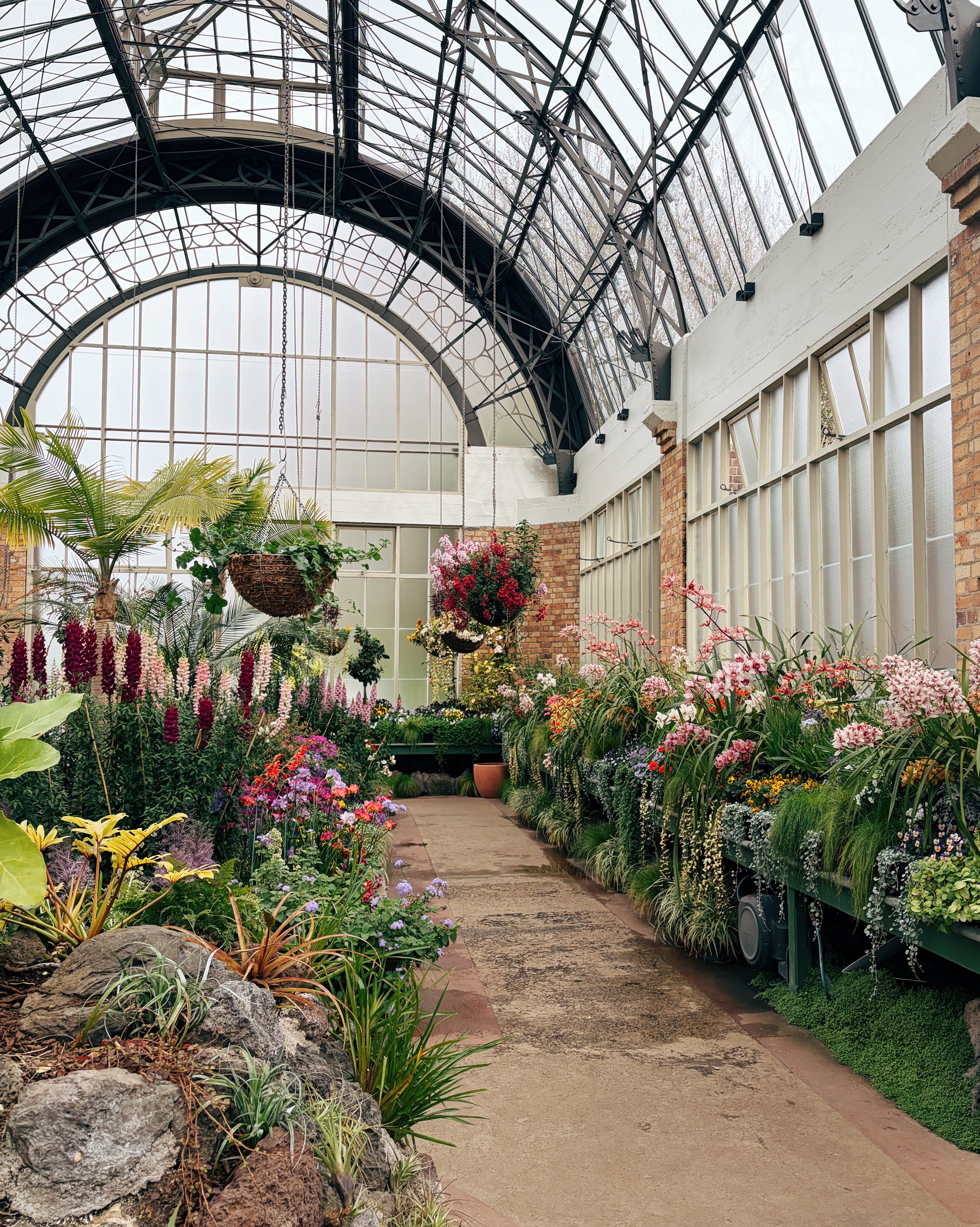 Winter Garden at Auckland Domain.