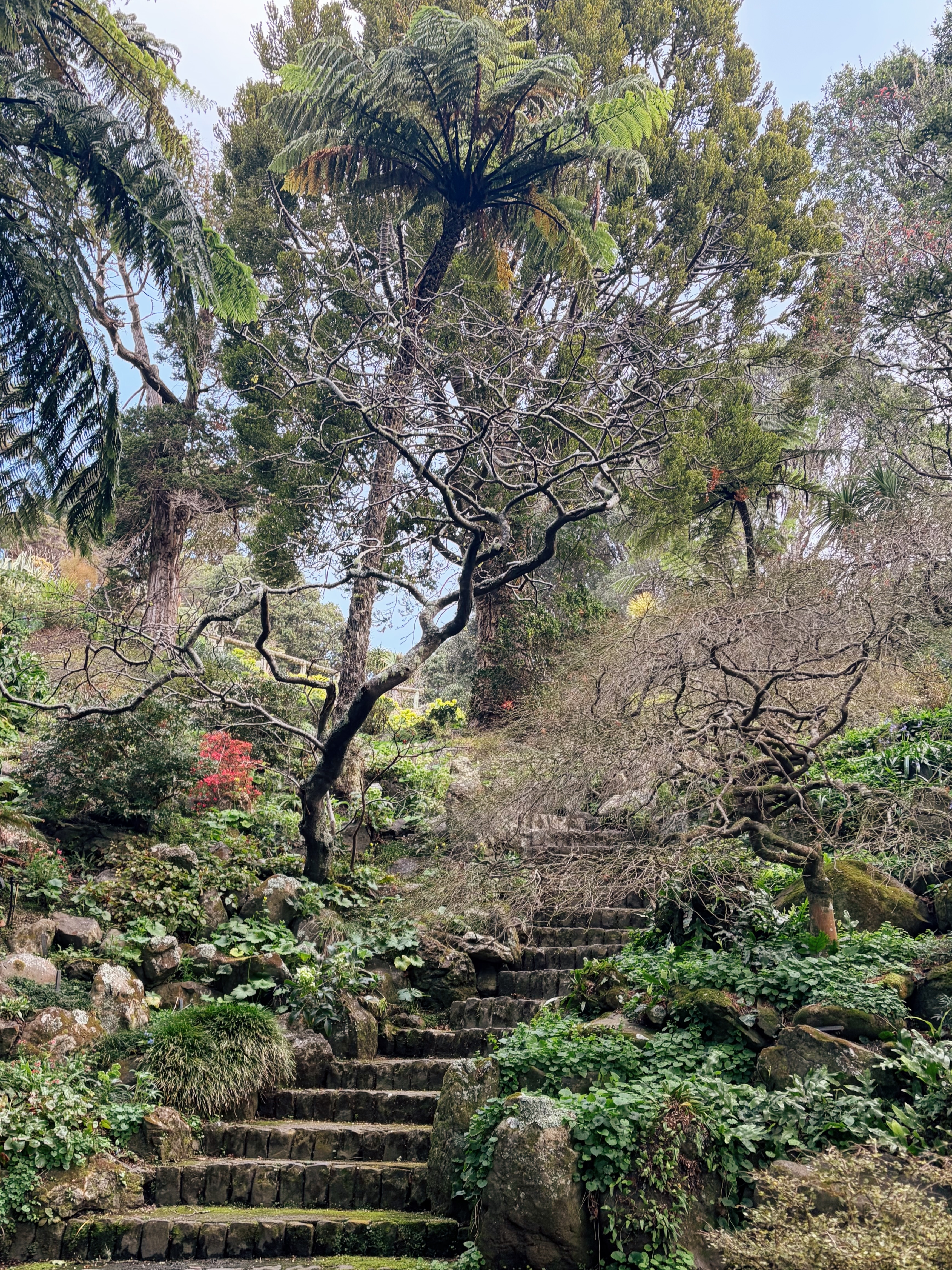 At the Wellington Botanic Garden.