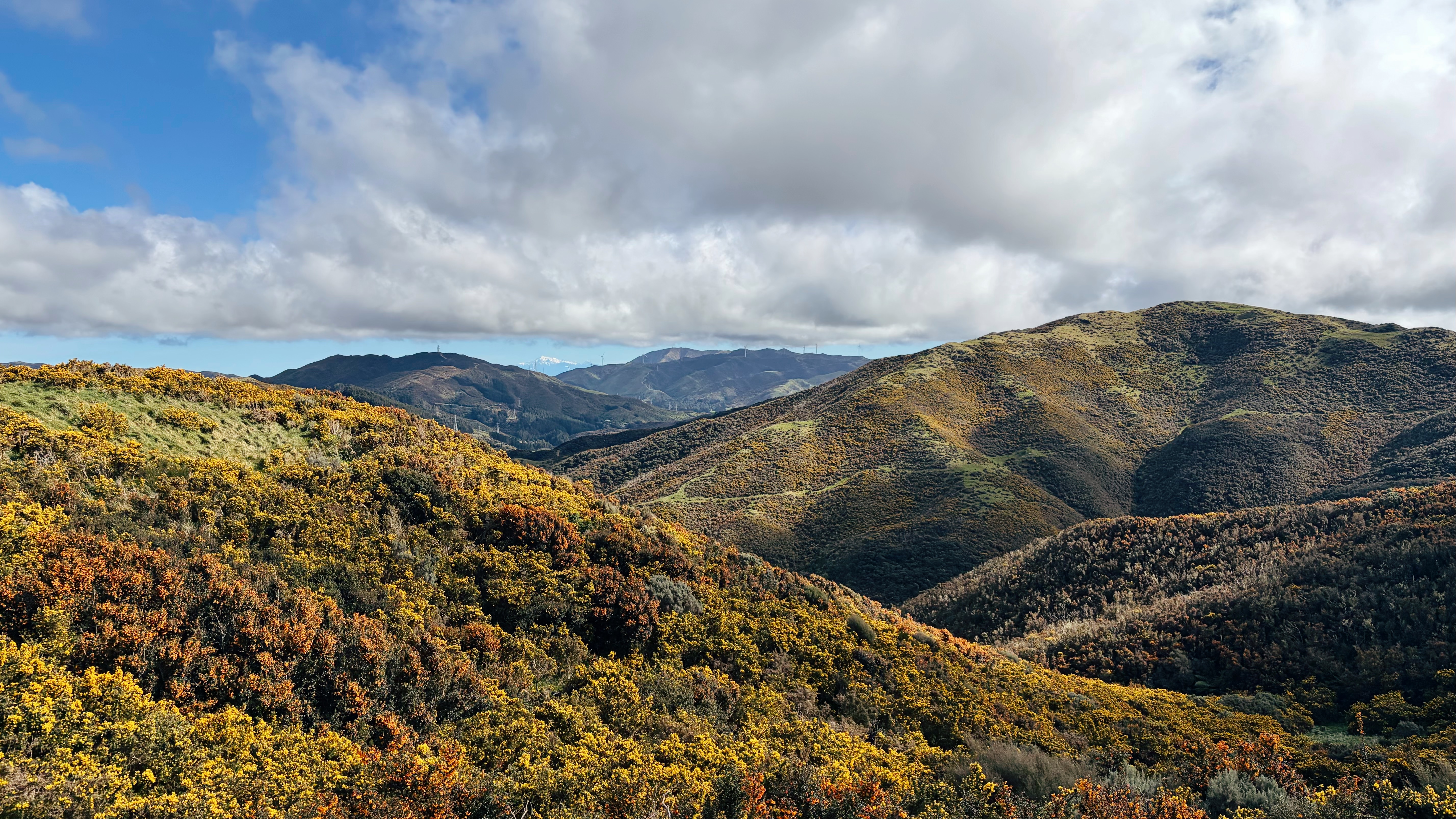 A distant view of the South Island&rsquo;s Tapuae-o-Uenuku across the Cook Strait seen from Skyline Ridge.